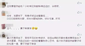 臭虫臭臭怎么组词