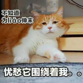 没恩闷闷怎么组词