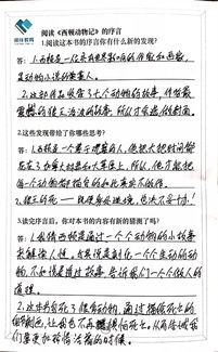 陪伴的伴可以怎么组词
