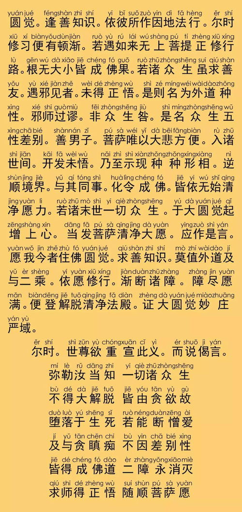 体修的修怎么组词