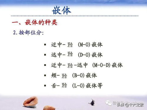体修的修怎么组词