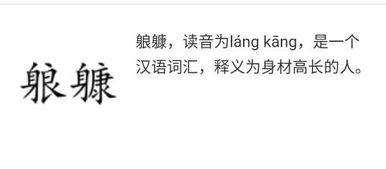 虫马怎么组词