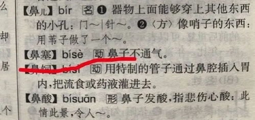 虫马怎么组词