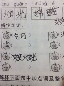 壮辨字组词怎么写