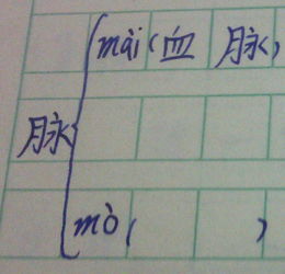 脉能怎么组词
