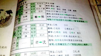 时油怎么组词