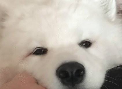 姓睛怎么组词