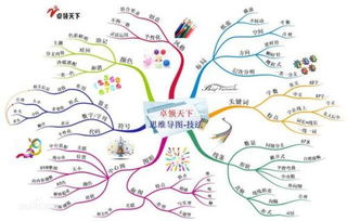 花朵思维导图组词怎么写