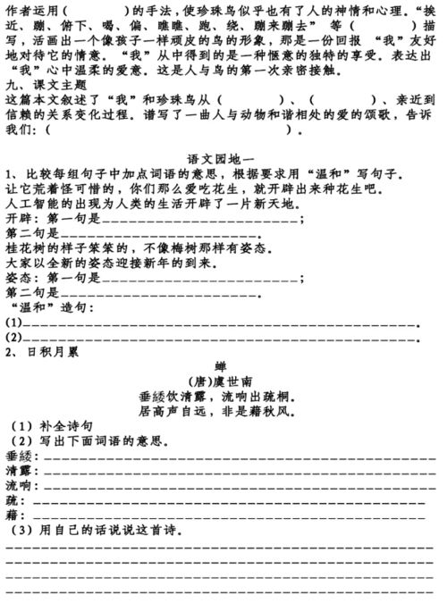 稀罕的罕组词