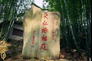遂涧怎么组词