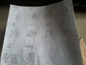 请求的怎么组词