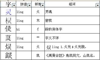 总能加什么偏旁怎么组词