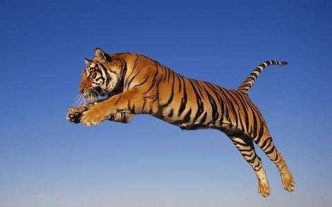 扒怎么组词爬行