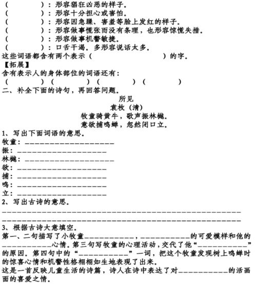 枝怎么组词