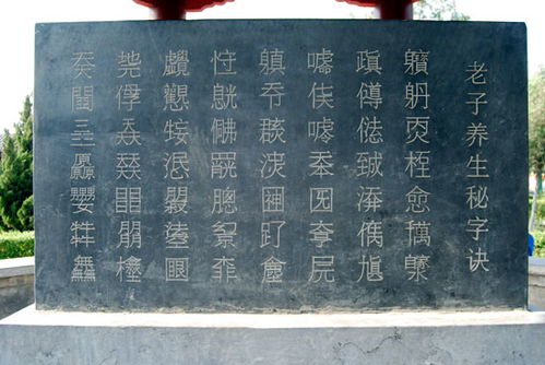 亨字怎么读组词