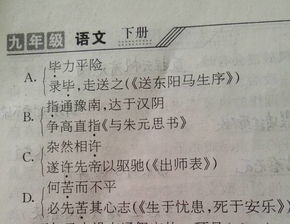 总子怎么组词语