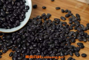 黑豆可以怎么组词
