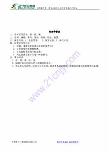 斑可以怎么组词