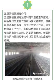 农牧的雾怎么组词