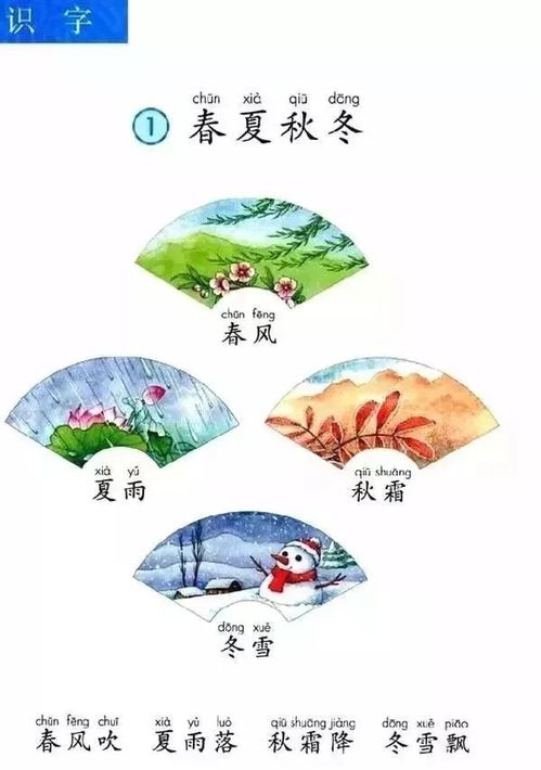 映在池塘的映怎么组词