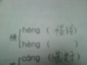 群鸟怎么组词