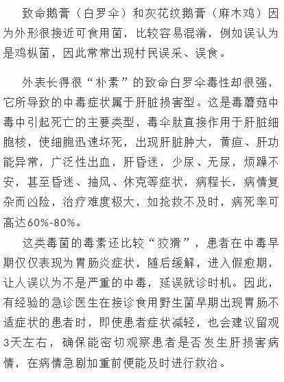 褶纹的纹怎么组词