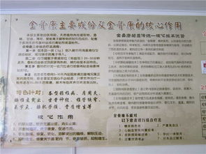 金骨怎么组词