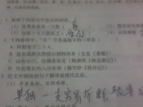 折文怎么组词