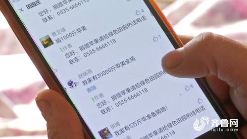 沉甸甸的甸怎么组词