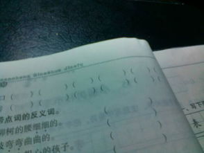 带口怎么组词