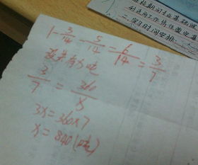 禾字怎么组词语