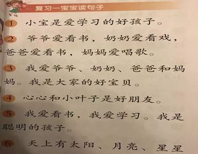 怎么用举组词