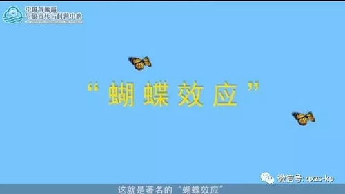 决定的觉还可以怎么组词