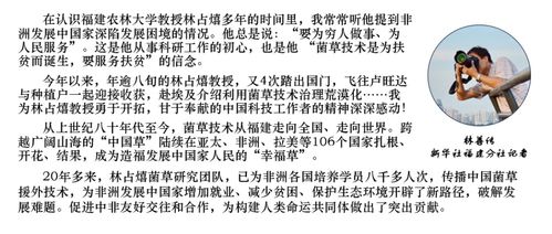 落地生根的组词怎么写