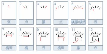用赏组词