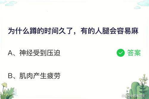 蚂蚁的麻可以怎么组词