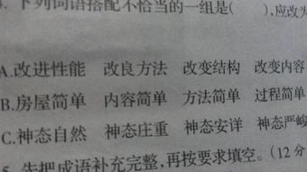 搭怎么组词语