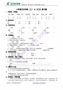 贝壳组词