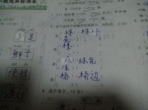 朱怎么加偏旁组词