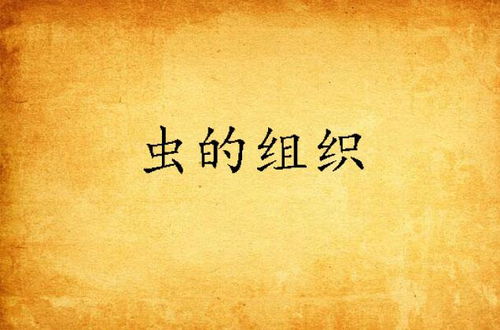 虫组词