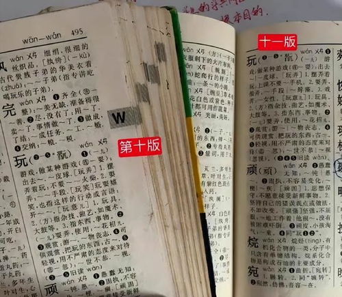 耍手段的耍怎么组词