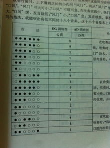 笛子的笛怎么组词