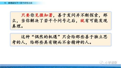 BELLA的百怎么组词