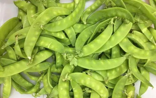 豌豆豆豌可以怎么组词