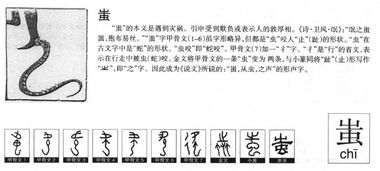 笨拙的缴怎么组词