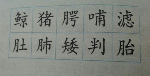啊还有的还怎么组词