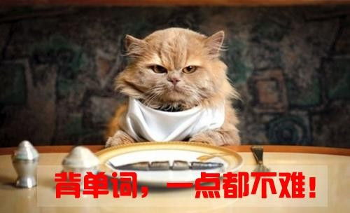 什么的猫怎么组词