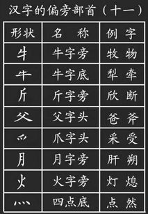 走之旁的字字怎么组词
