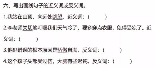微怎么组词