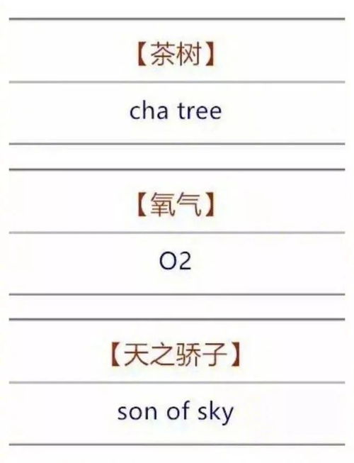 碰撞的撞怎么写怎么组词